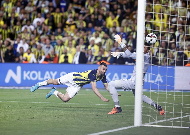 纷披露了一 纷披露了一