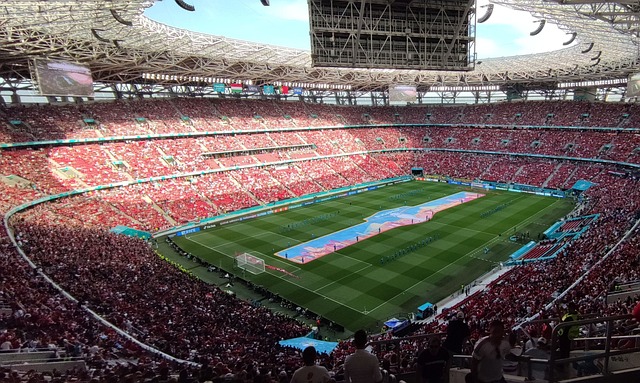 背后的真实 背后的真实