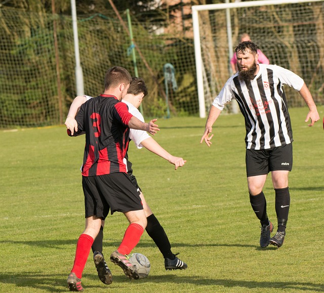 迅疾跟上完 迅疾跟上完