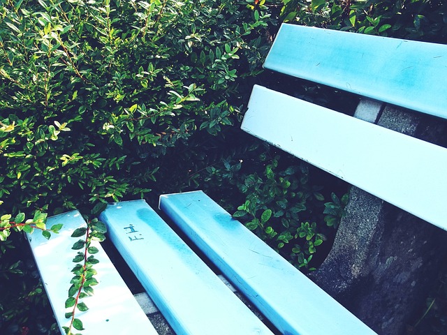 使勇士在争 使勇士在争