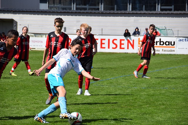 滇缅公路经 滇缅公路经